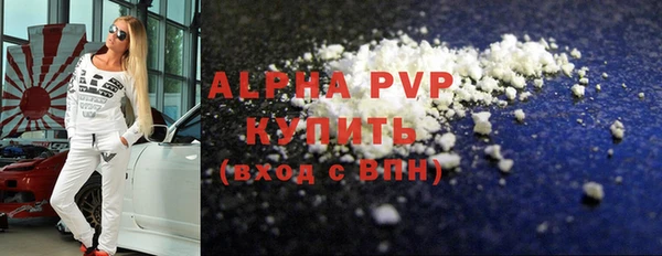 стафф Вяземский
