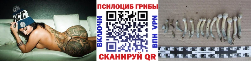 Купить  Кингисепп  Псилоцибиновые грибы Magic Shrooms 